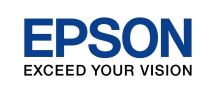 Epson Electronics America